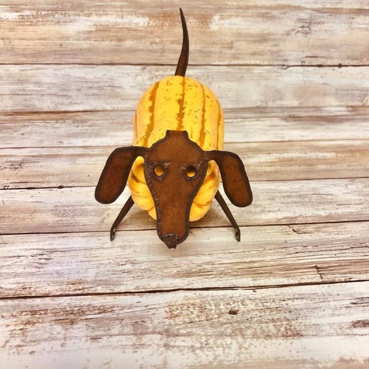 Dachshund Pumpkin Squash Vegetable Parts